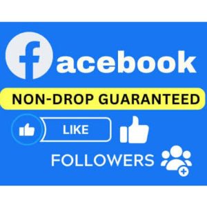 Facebook ID/Page 1K Bangladeshi Follower | 365 Days Guarantee